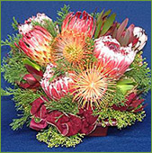 Protea Baskets